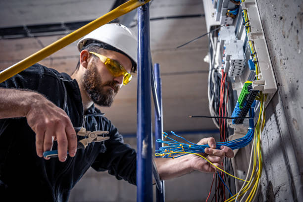 Best Licensed Electrician  in Bromley, KY